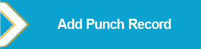 Add_Punch_Record.png