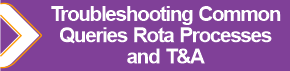 Troubleshooting_Common_Queries_Rota_Processes_and_TA.png