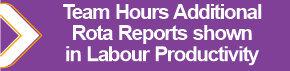 Team_Hours_Additional_Rota_Reports_shown_in_Labour_Productivity.png