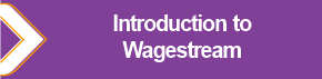 Introduction_to_Wagestream.png