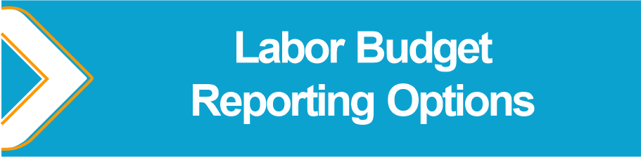 Labor_Budget_Reporting_Options.png