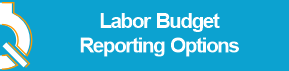 Labor_Budget_Reporting_Options_Button.png
