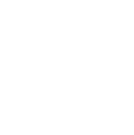 globe icon